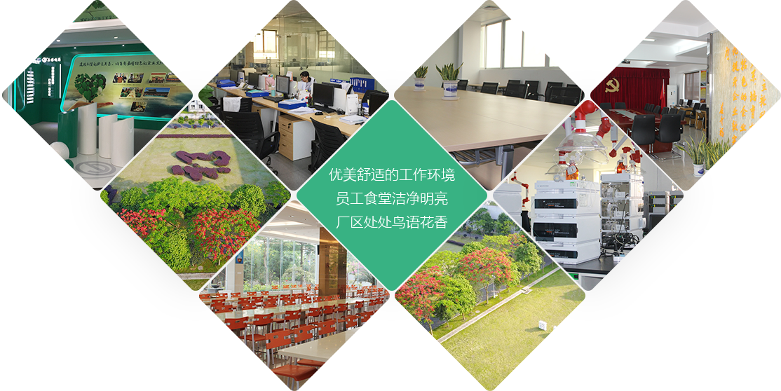 amjs澳金沙门线路(中国)有限公司首页